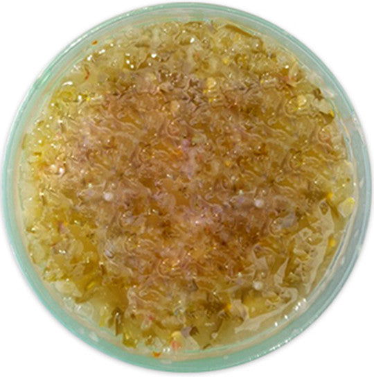 Sweet Pickled Relish - Doc Pickle